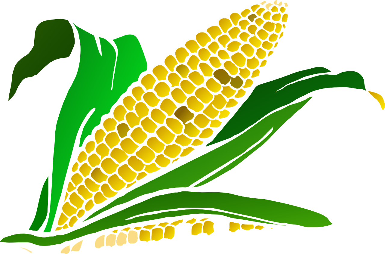 Crop Production and Management
